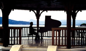 piano à demi queue
